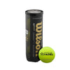 Tubo 3 Palline WILSON PREMIER Speed