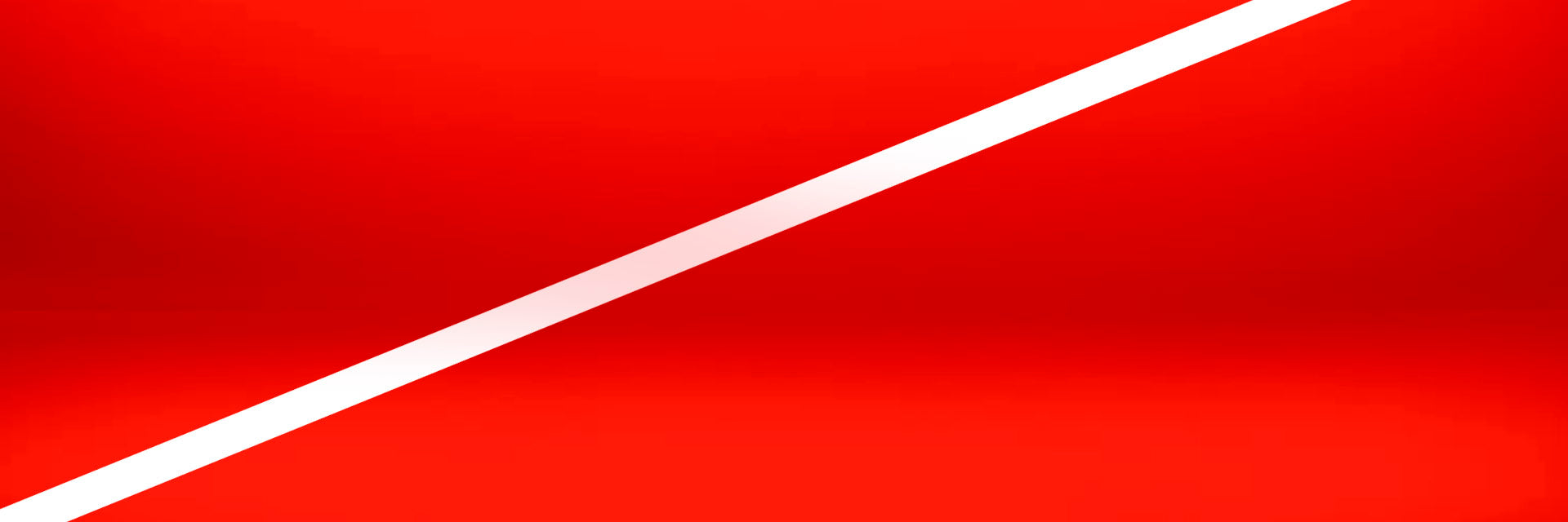 Padel sale items showcase